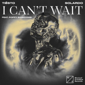 TIESTO & SOLARDO FEAT. POPPY BASKCOMB - I CAN'T WAIT